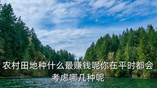 农业种植什么最贵
