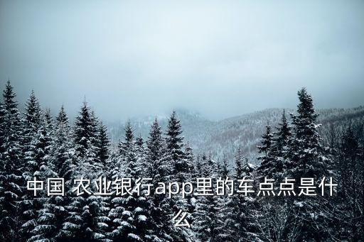 农业银行指定洗车怎么找