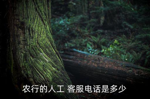 怎么找农业银行客服,怎么联系农业银行客服