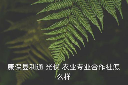 光伏农业公司怎么样,创维光伏公司怎么样