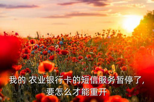 我的 农业银行卡的短信服务暂停了,要怎么才能重开