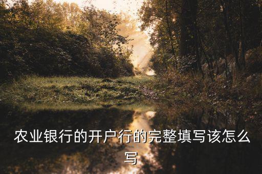 要办农业银行 怎么填表,农业银行办卡填表图片样板