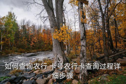 如何查询农行 卡号农行卡查询过程详细步骤