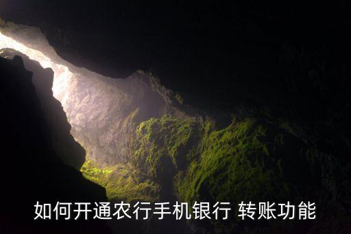 农业银行软件怎么转账