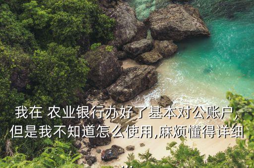 农业银行公户怎么进去