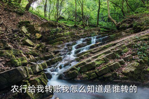 农业银行怎么查寻收款方