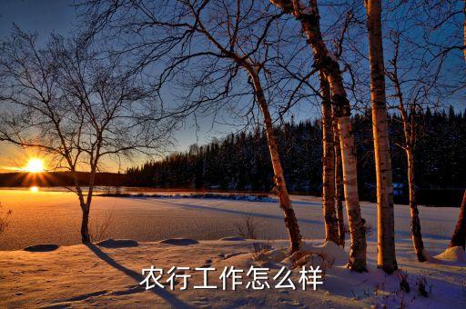 安徽农业银行待遇怎么样,农业银行研发中心待遇怎么样