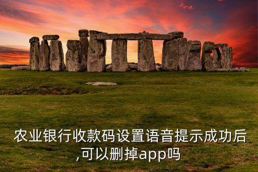  农业银行收款码设置语音提示成功后,可以删掉app吗