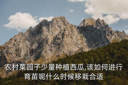 农业育种苗怎么种