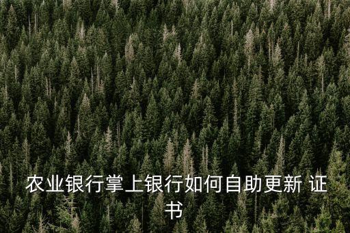 农业银行证书怎么认证,农行的证书怎么弄