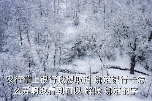 农行掌上银行我想取消 绑定银行卡怎么弄啊没看到可以 解除 绑定的字