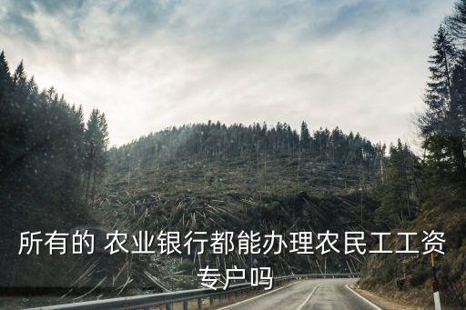 所有的 农业银行都能办理农民工工资 专户吗