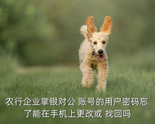 农行企业掌银对公 账号的用户密码忘了能在手机上更改或 找回吗