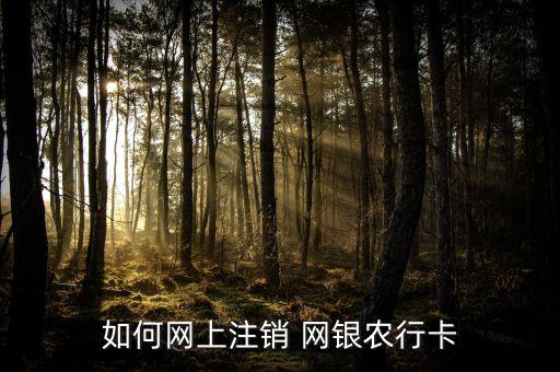 网银怎么取消农业银行,农业银行网银怎么取消短信服务费