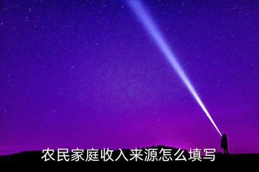 农业经济类型怎么填