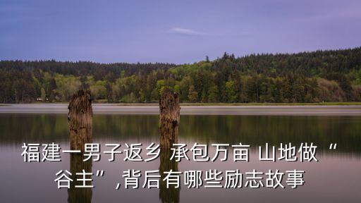 承包山地做农业怎么样啊,山地承包合同书模板