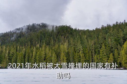 2021年农业怎么样,1963年农业收成怎么样