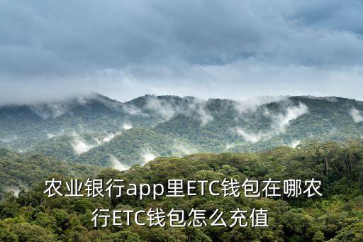 农业etc怎么用,农业ETC