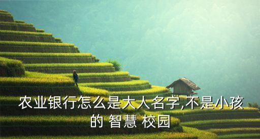农业银行智慧校园怎么进