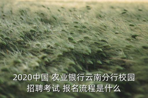 农业银行报名地址怎么填