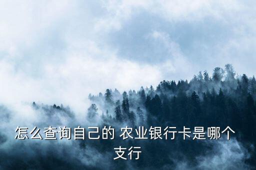 连南农业银行叫什么支行