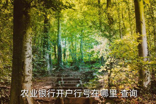 农业网点号怎么查询