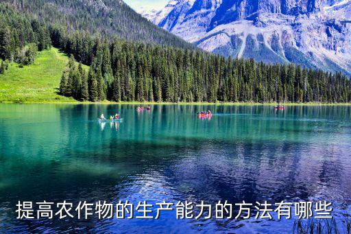 怎么提高农业生产,提高农业生产效率的途径