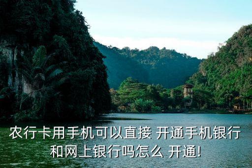 农行卡用手机可以直接 开通手机银行和网上银行吗怎么 开通!