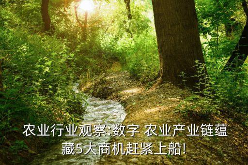 农业芯片怎么打造