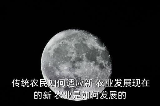 传统农业怎么快速转型成功