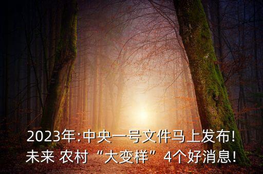 2023年:中央一号文件马上发布!未来 农村“大变样”4个好消息!