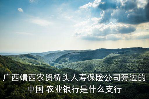 石嘴山农业银行全称是什么,平潭916农业银行全称是什么