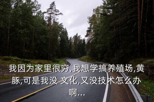 没文化怎么做好农业,怎么做好农业好项目