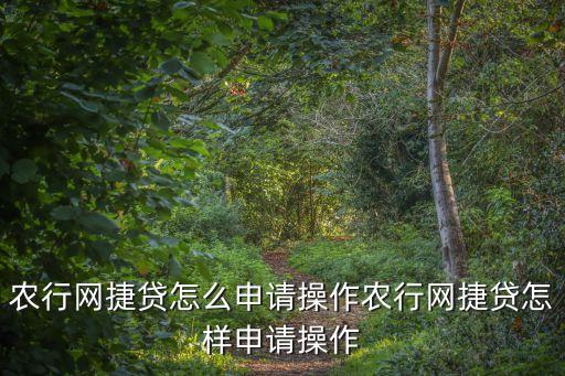 农业银行网络贷款怎么贷