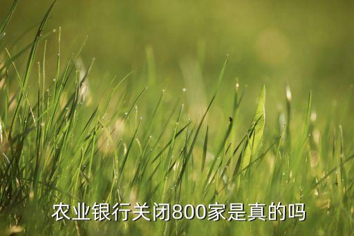 农业银行又怎么了,中国农业银行到底怎么回事