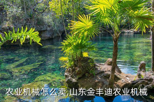 山东农业机械怎么卖,山东金丰迪农业机械