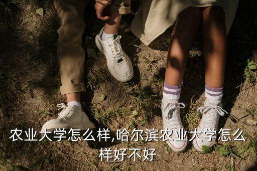 中山农业大学怎么样,哈尔滨农业大学怎么样好不好