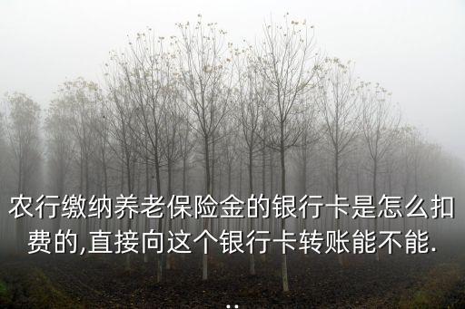 农业银行怎么缴费社保的,手机农业银行怎么交社保缴费