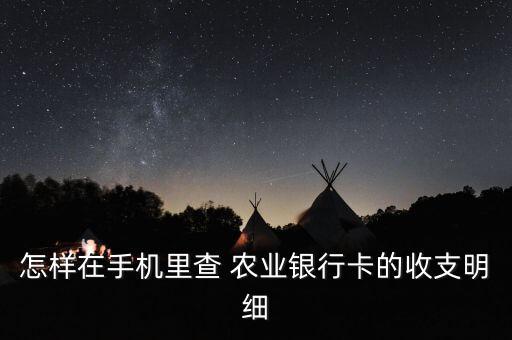 怎样在手机里查 农业银行卡的收支明细