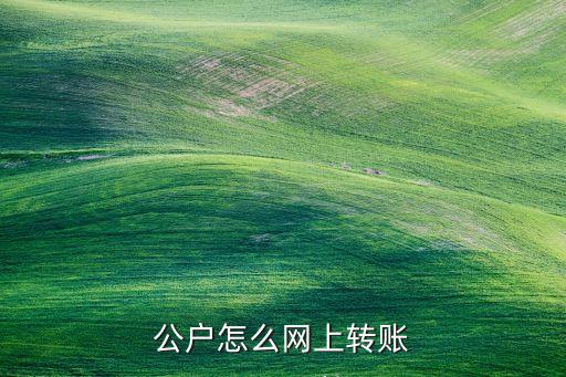 农业银行公帐怎么用