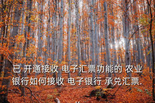 农业银行电子承兑怎么开通