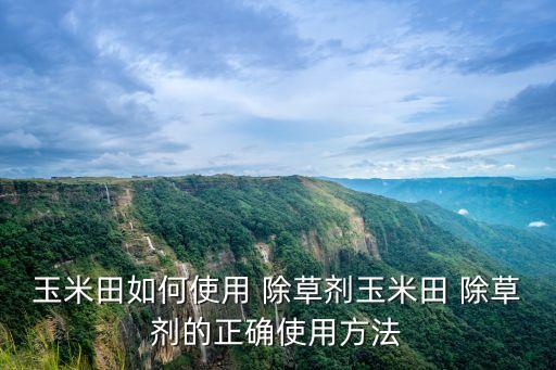 玉米田如何使用 除草剂玉米田 除草剂的正确使用方法