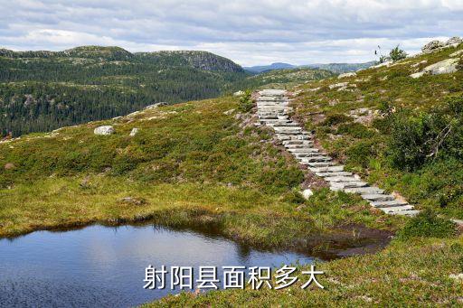 射阳农业状况怎么样了