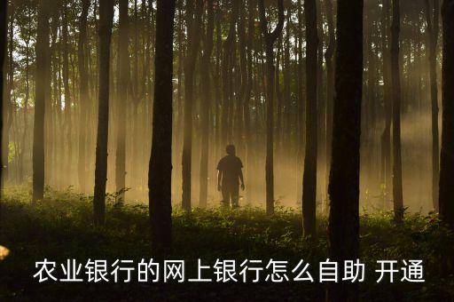 农业银行视频服务怎么开通