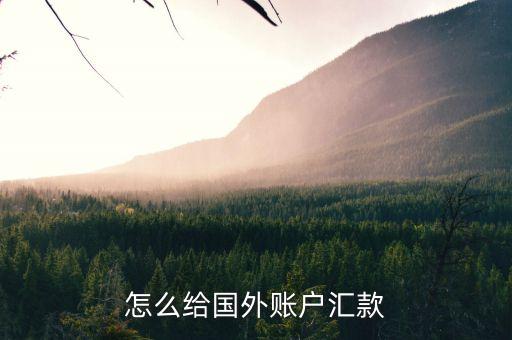 农业银行怎么给越南汇钱,越南农业银行swift代码