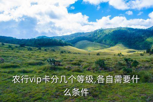 农业银行钻石卡年限怎么查