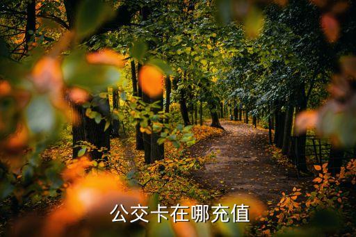 农业银行怎么冲公交卡,安康农业银行公交卡充值方法