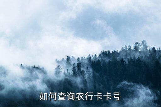 农业银行怎么查看银行卡,中国农业银行怎么查卡号