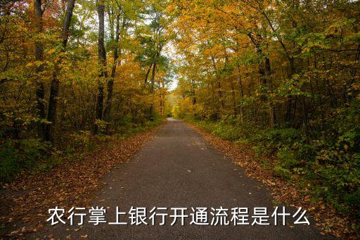 掌银怎么激活农业借记卡,怎么激活掌银APP
