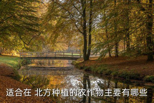 北方主要是什么农业为主,我国北方是什么农业类型